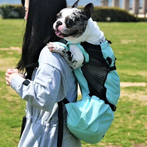 「K9 Sport Sack」の犬用リュックキャリーで背負われた犬の写真