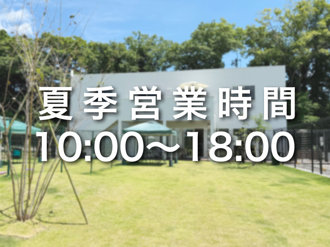 夏季営業時間10:00〜18:00のイメージ画像